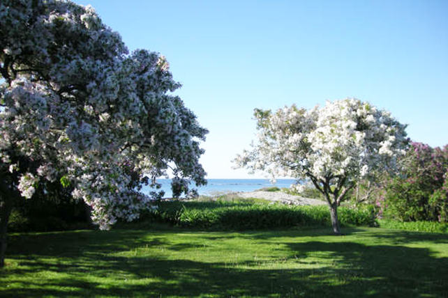 MEYO_Braveboat Harbor Farm_spring 08 133_web